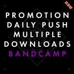 PROMOTION
DAILY PUSH
MULTIPLE
DOWNLOADS
BANDCAMP